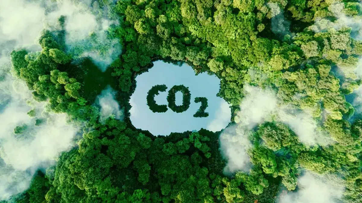 Negociação de Créditos de Descarbonização (CBIOs) soma R$ 2,88 milhões no 1º semestre de 2025